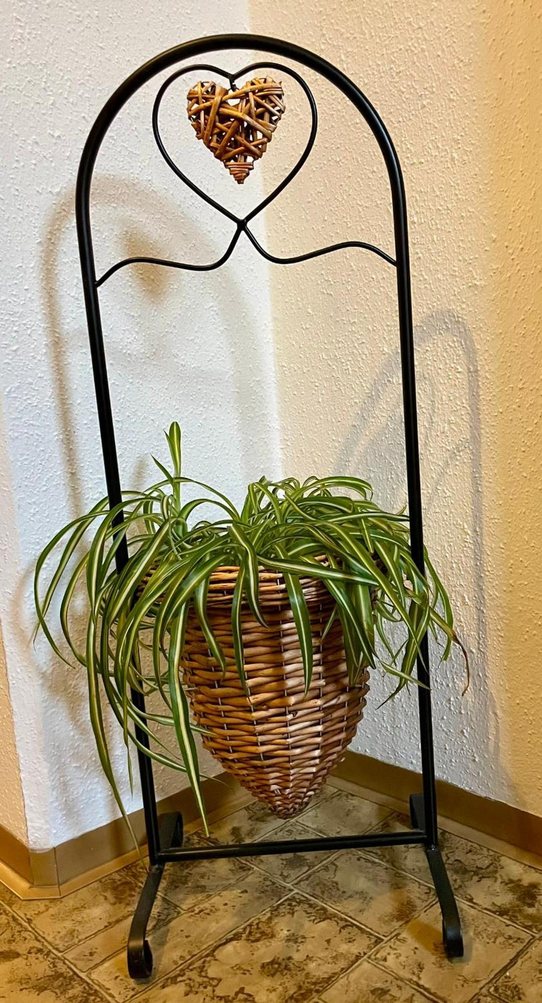 Haus Groeblacher 메이른호픈 외부 사진